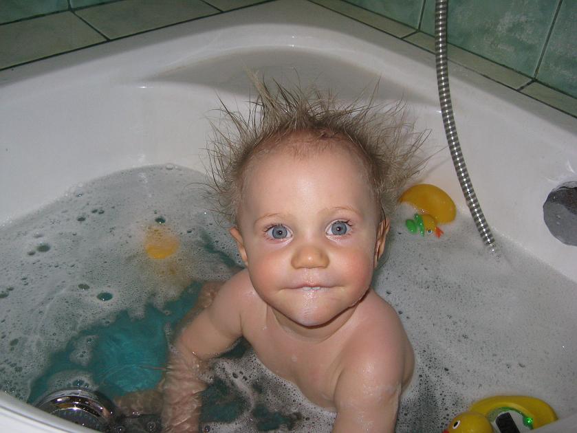 IMG_7784.JPG - Piorun w rabarbar . . .