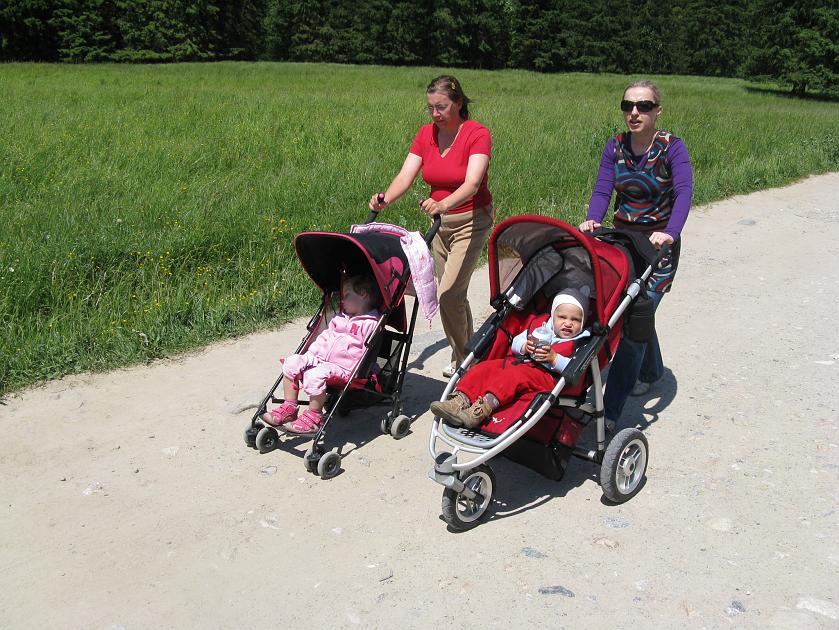 20090619-10-IMG_9179.JPG - W Dolinie Kościeliskiej