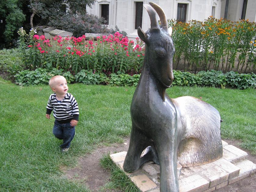 IMG_1139.JPG - Kozio�