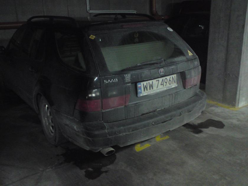 DSC01122.JPG - Po obeschnięciu wyszło, że to brudas!