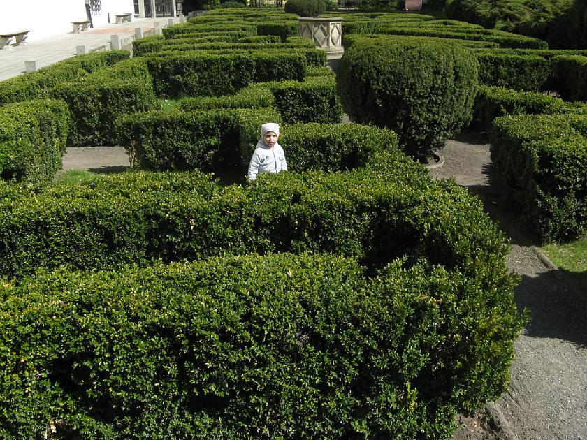 IMG_3855.JPG - Wojtek w labiryncie - pod zamkiem w Brzegu