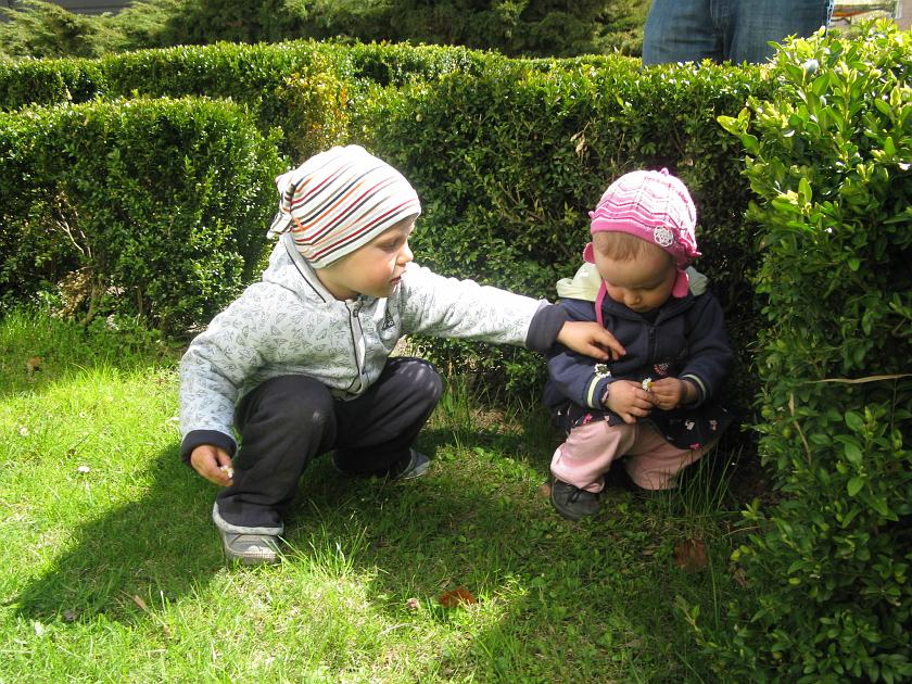 IMG_3868.JPG - Dami! Dami!