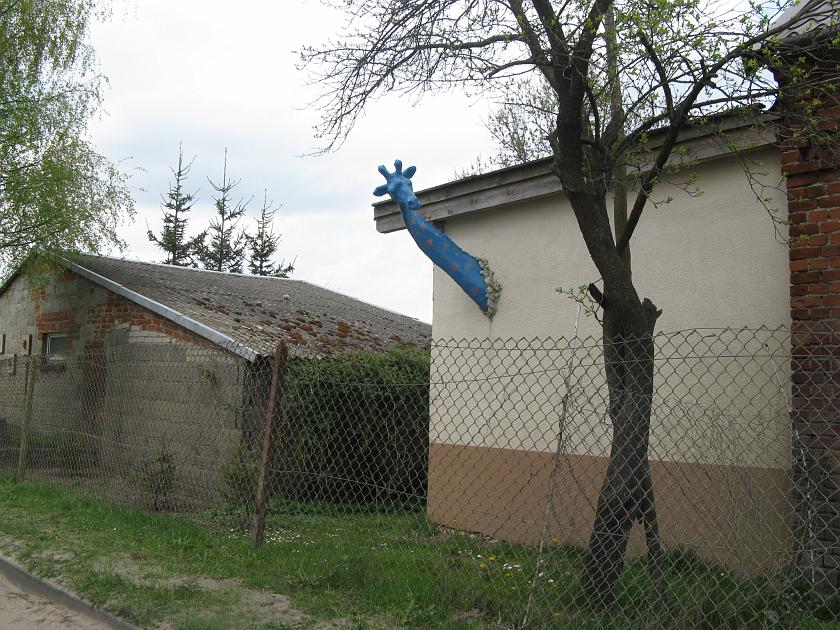 IMG_3998.JPG - Rodowo - "wioska cudów". Tutaj żyrafa wyrasta ze ściany.