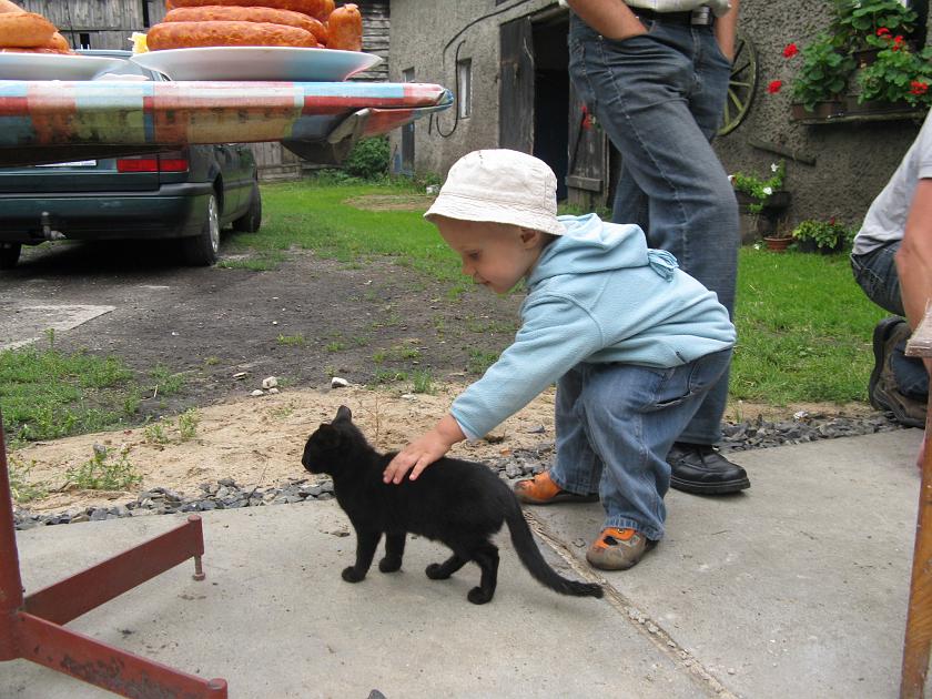 IMG_7295.JPG - Kotek!