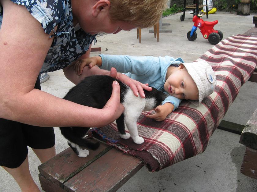 IMG_7308.JPG - Jaki ładny kotek!