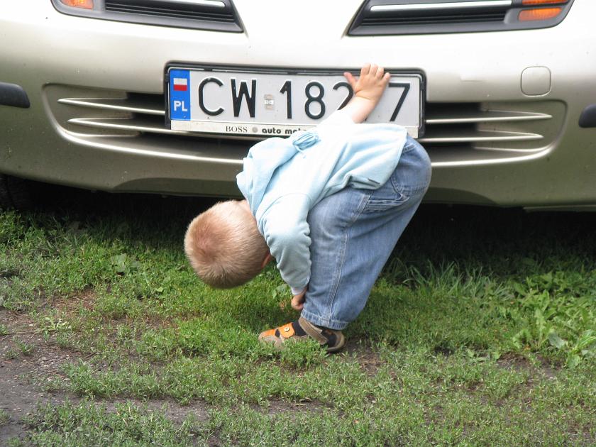 IMG_7400.JPG - Kotek! Gdzie jesteś?