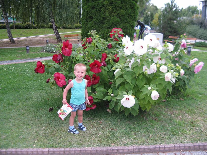 IMG_8265.JPG - Zdjęcie dla babci - przy kwiatkach