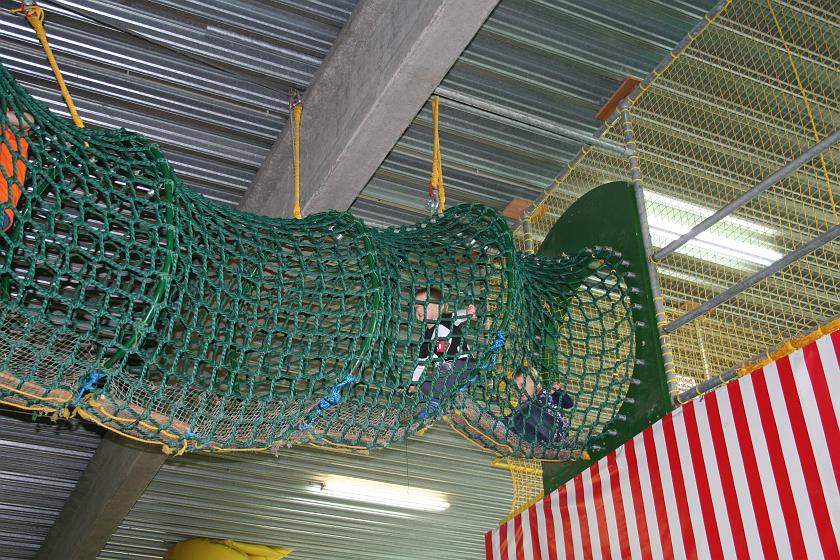 IMG_4162.JPG - Nie bał się tak wysoko wejść!