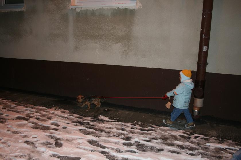 IMG_5302.JPG - A tak się wyprowadza Filuta na spacer