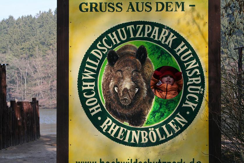 IMG_7836.JPG - Pozdrowienia z dzikiem