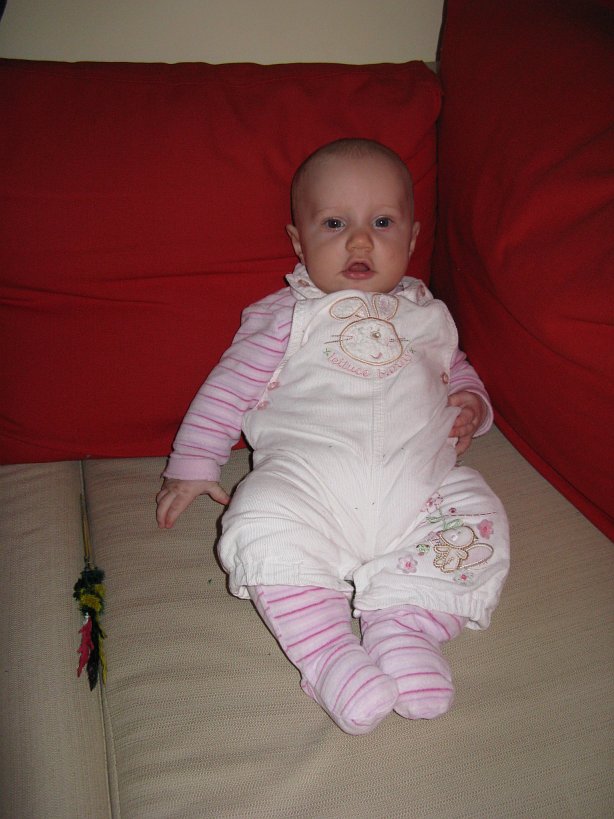 2008-03-16_1631.jpg - (2008-03-16) Zgubiłem palemkę