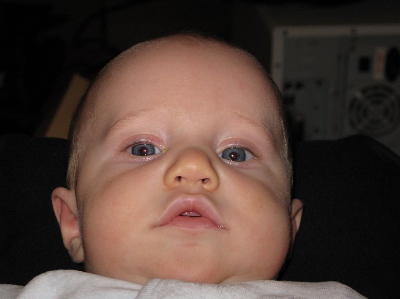 2008-03-18_1662.jpg - (2008-03-18) Portret