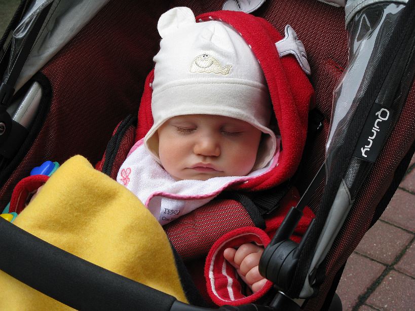 2008-05-22_2639.jpg - (2008-05-22) Wojtek śpi w nowym wózku