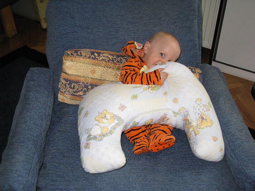 2008-05-25_2786.jpg - (2008-05-25) Poduszka jest dooobra