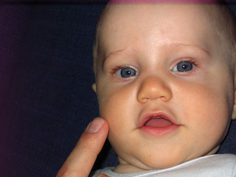 20080511-1420-wojtek.jpg - (2008-05-11) Portret