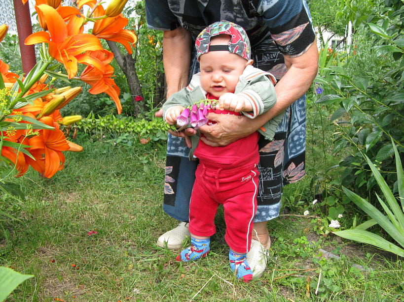 2008-06-28_F3281.jpg - (2008-06-28) U Babci na działce