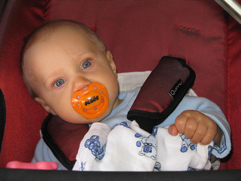 2008-07-09_F3535.jpg - (2008-07-09) Smoczek