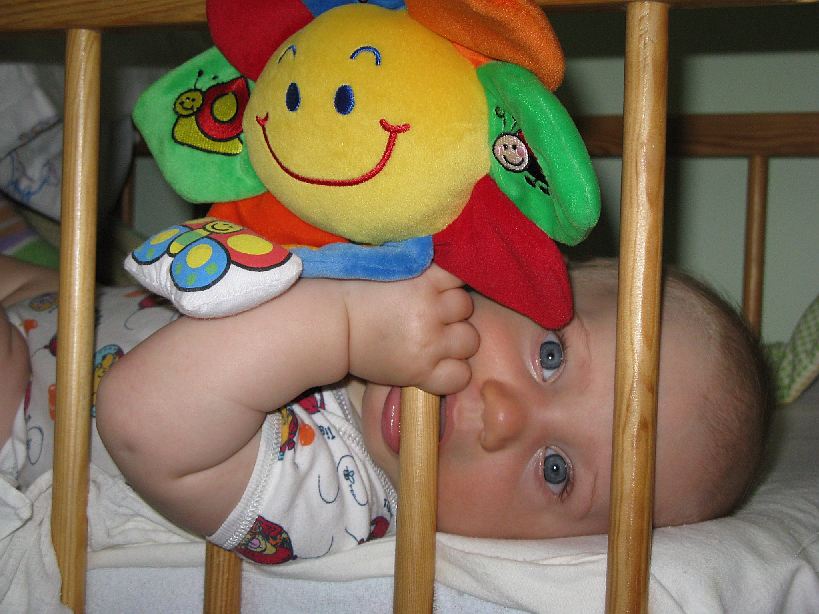 20080611-IMG_3060.jpg - (2008-06-11) Świat zza krat