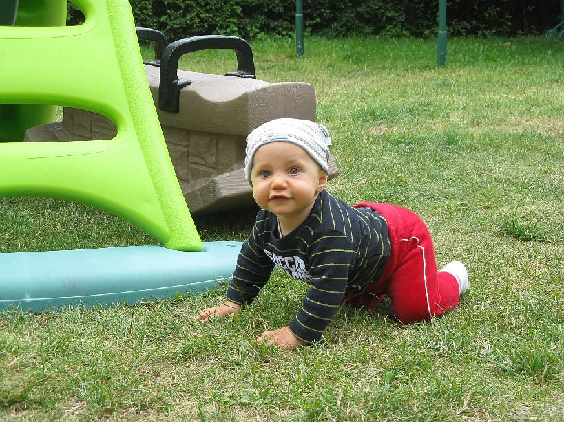 20080808-IMG_4391.jpg - (2008-08-08) Na trawie